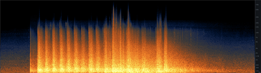 Dormitory Implosion Spectrogram